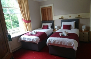 Woodlands Twin Room
